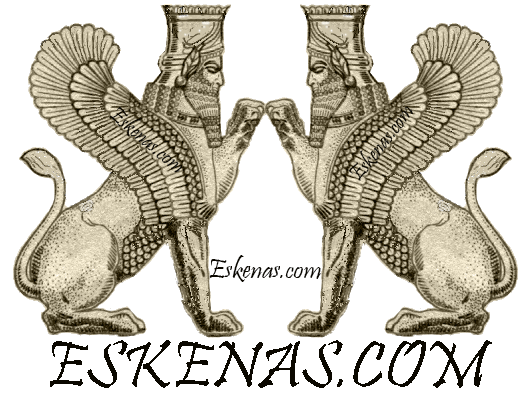 Seller Banner