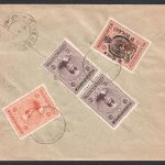 پست داخلی سفارشی دو قبضه از بارفروش به تهران