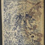 4 قران آبی شیر و خورشیدی کلیشه جالب و نا واضح با تاییدیه